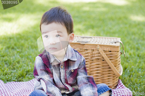 Image of Young Mixed Race Boy Sitting in Park Near Picnic Basket