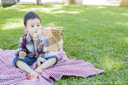 Image of Young Mixed Race Boy Sitting in Park Near Picnic Basket