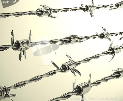 Image of the barbwire