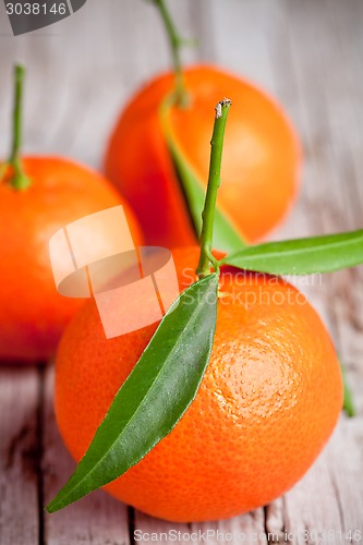 Image of fresh tangerines with leaves 