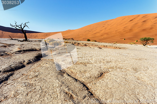 Image of beautiful landscape of Hidden Vlei in Namib desert 