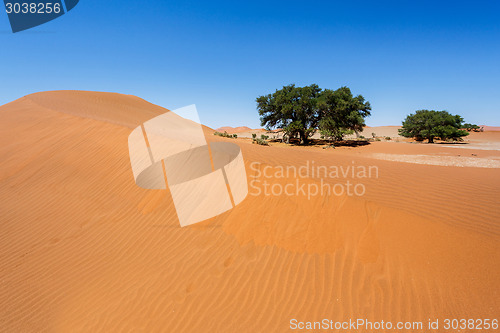 Image of beautiful landscape of Hidden Vlei in Namib desert