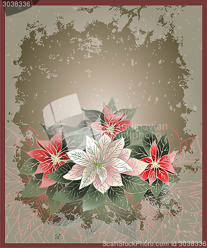 Image of Christmas card.    Illustration Poinsettia flower (christmas sta