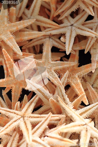 Image of sea stars background