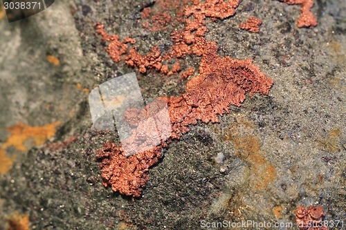 Image of copper background