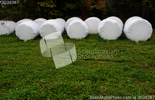 Image of Bales of grass hay 