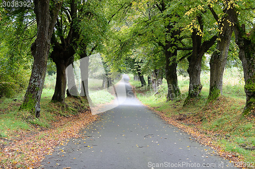 Image of Road