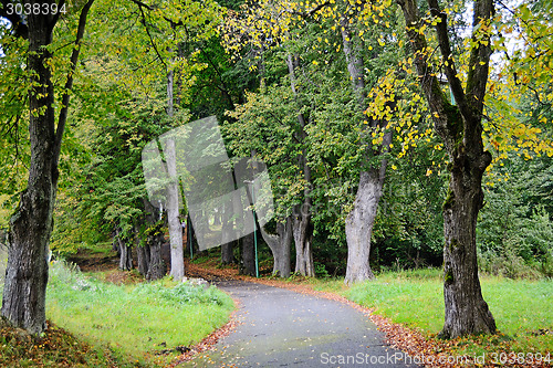 Image of Road