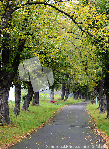 Image of Road