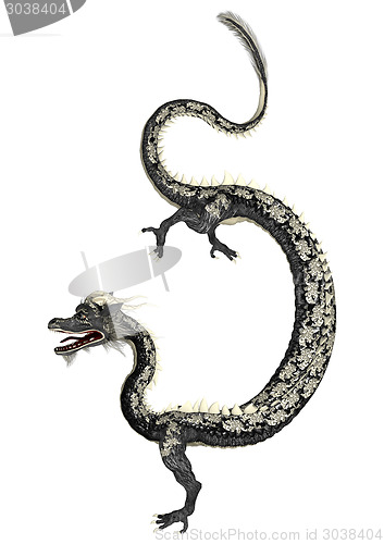 Image of Black Eastern Dragon