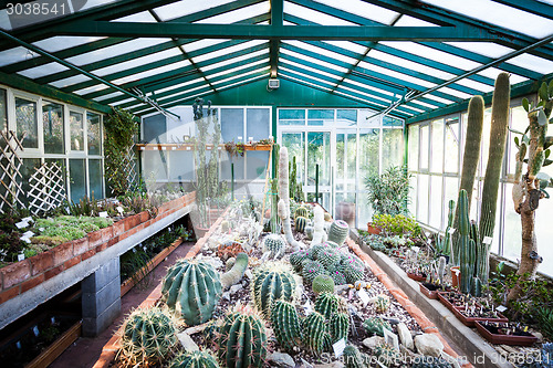 Image of Cactus greenhouse