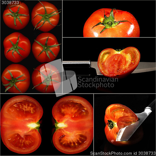 Image of tomatoes collage