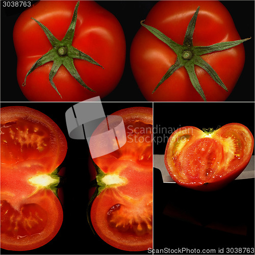 Image of tomatoes collage