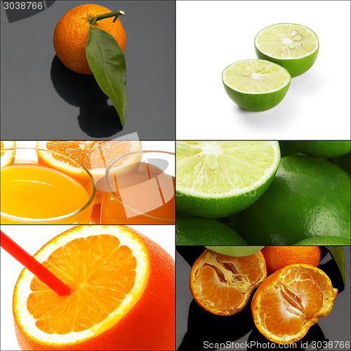 Image of citrus fruits collage