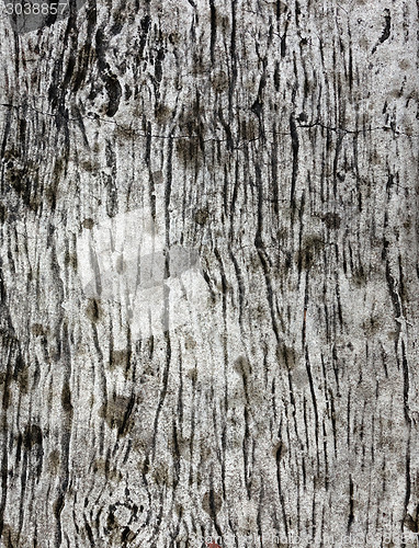 Image of wooden texture