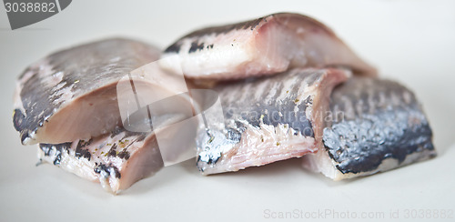 Image of herring