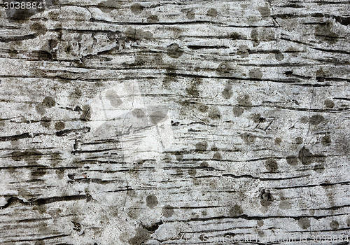 Image of wooden texture