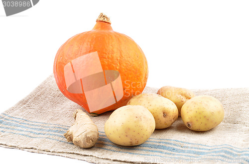 Image of Autumn vegetable
