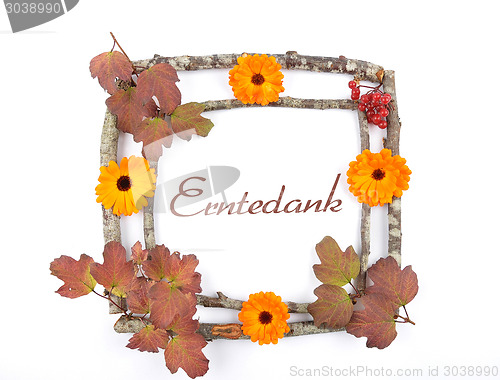 Image of Wooden frame with calendula