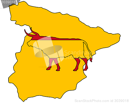 Image of Spanish bull