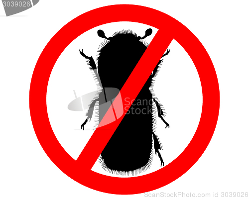 Image of Bark-beetle prohibition sign