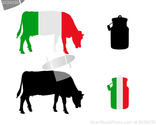 Image of Italian milk cow