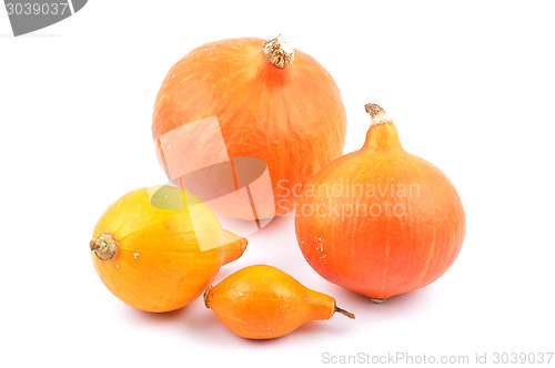 Image of Hokkaido pumpkins