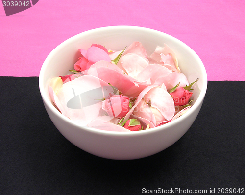 Image of Rose buds and petals on pink and black background