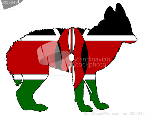Image of Jackal from Kenya