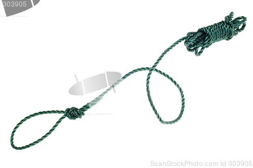 Image of Green nylon rope

