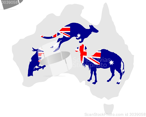 Image of Australian animals