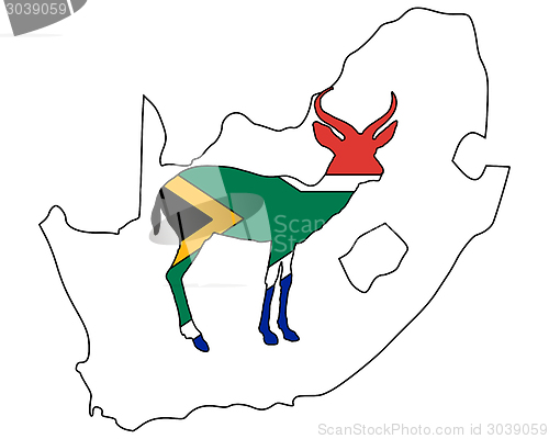 Image of South Africa antilope