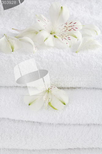 Image of White towels