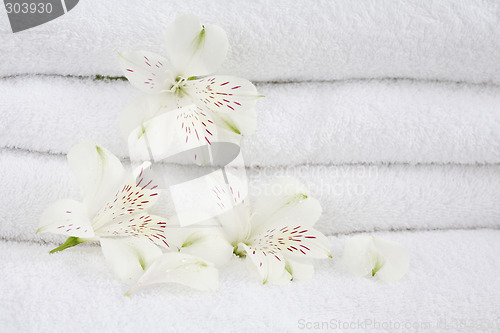 Image of White towels