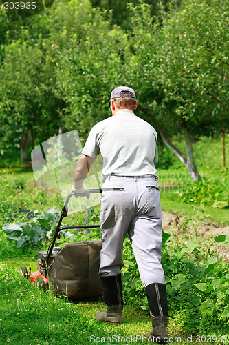 Image of Gardening