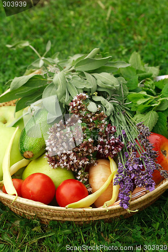 Image of Harvest