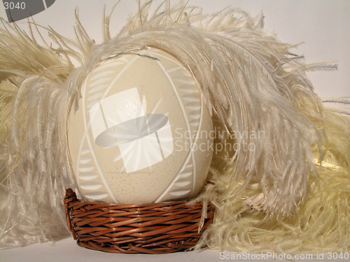 Image of egg