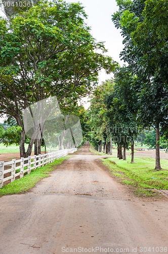 Image of Country Road