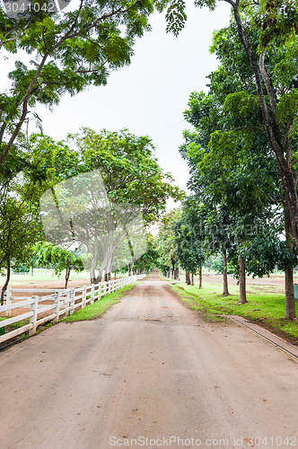 Image of Country Road