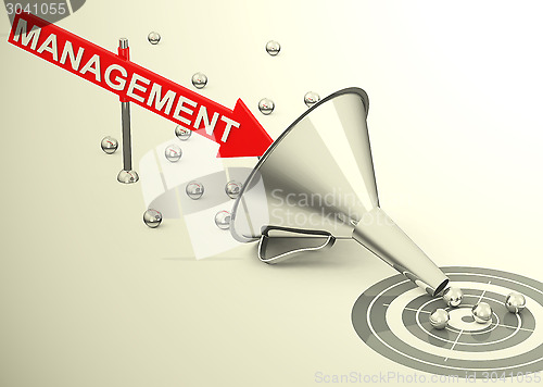 Image of management goals