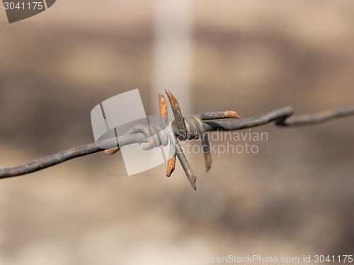 Image of barbed wires 