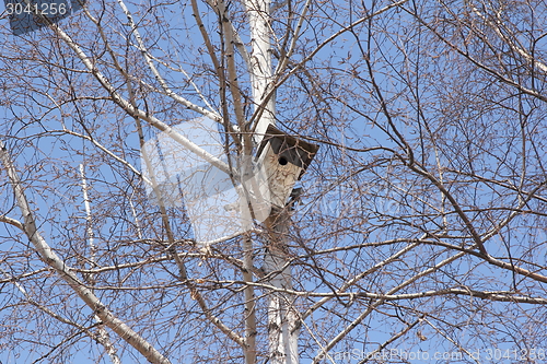 Image of Birdhouse on a white birch tree on blue sky background.