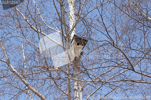 Image of Birdhouse on a white birch tree on blue sky background.