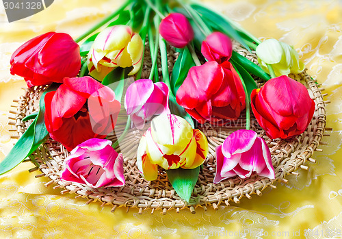 Image of Bright red tulip against yellow silk