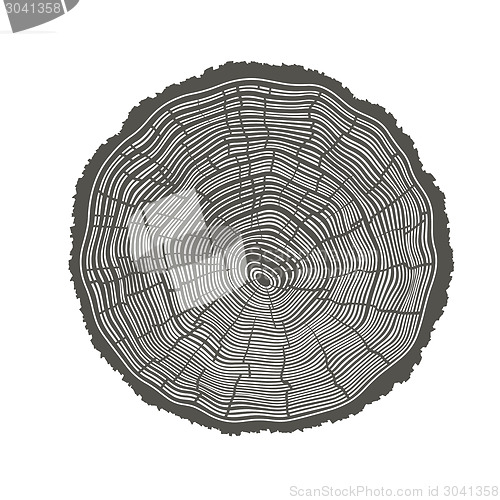 Image of Tree Rings Illustration. Template for annual reports