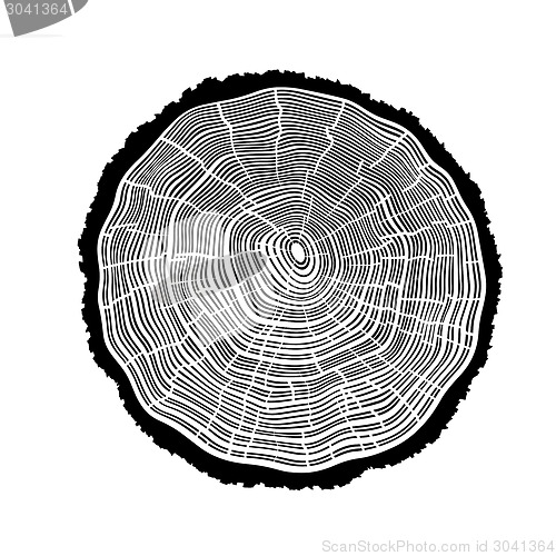 Image of Rings of a tree with cracks.