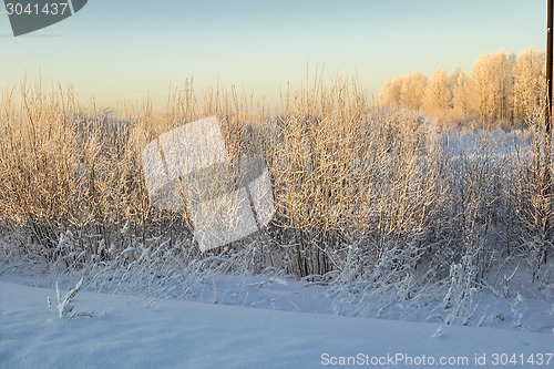 Image of winter Landscape.