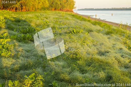 Image of  summer landscape