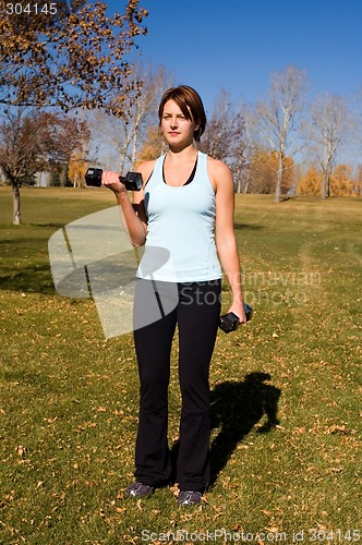 Image of Bicep curls