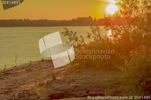 Image of  summer landscape